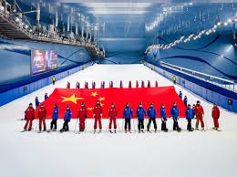 巴甲弗鲁米嫩塞主场采用狗狗球童，鼓励球迷去领养宠物